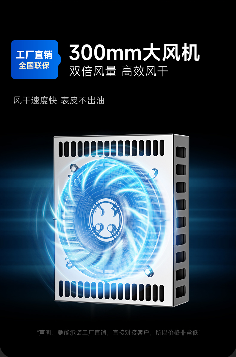 晾鴨柜300mm大風(fēng)機(jī)