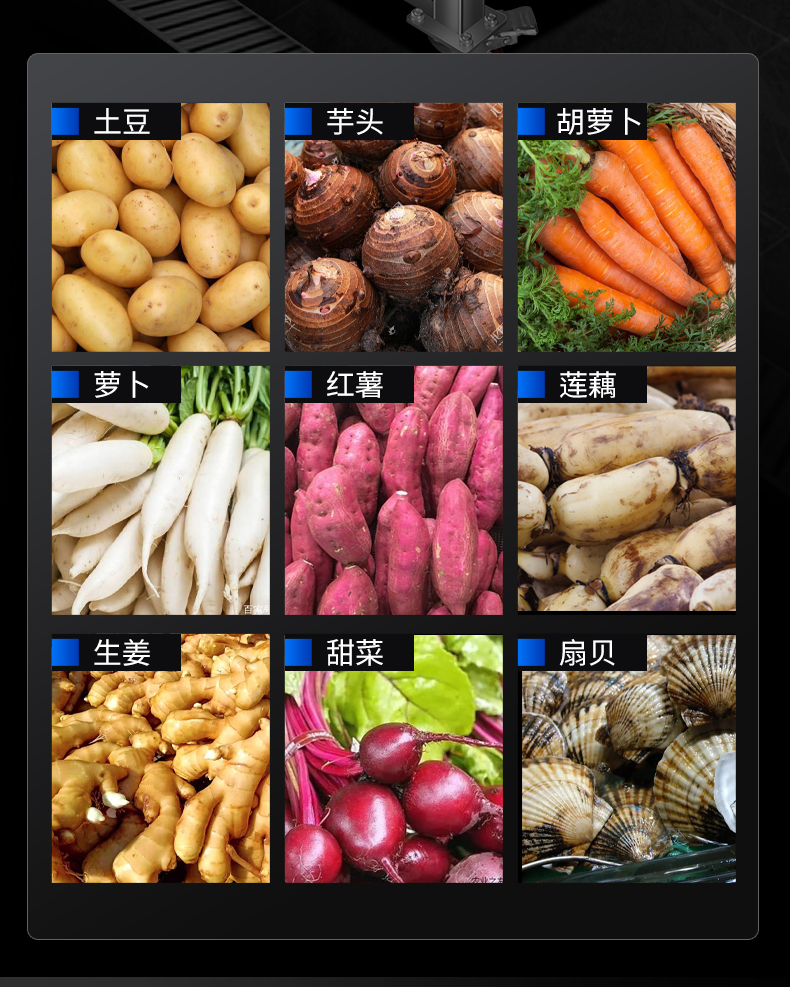 1694998409423143.jpg 毛刷去皮機(jī)適用蔬菜